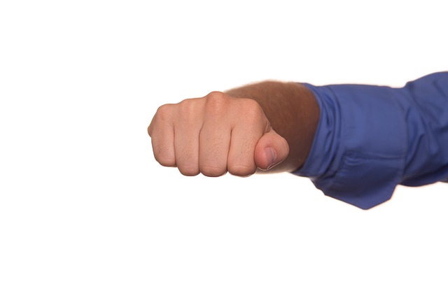 This image for Image Layouts addon